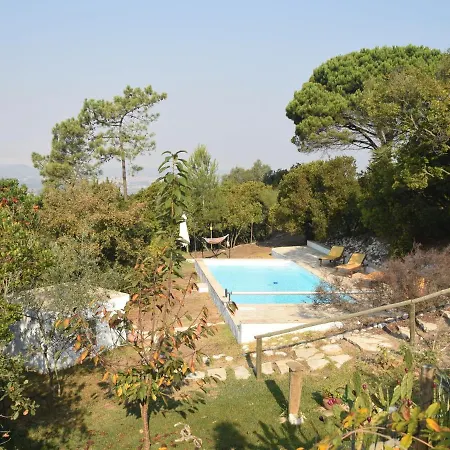 A Perfect With Pool Terrace And Garden Alcobaça